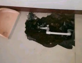 临沧卫生间测漏水多少钱